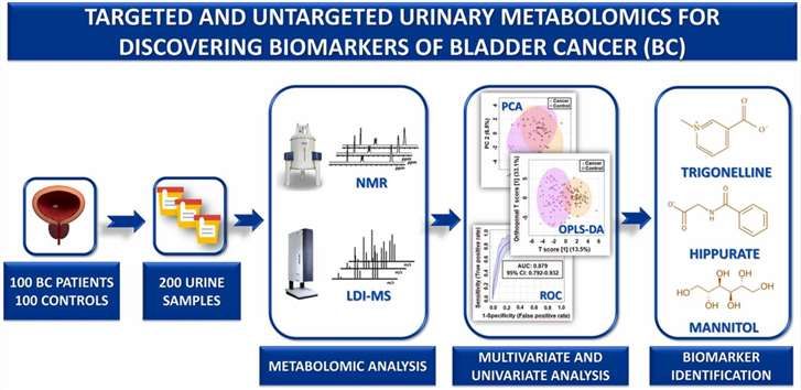 Fig.1 Targeted and untargeted urinary metabolic profiling of bladder cancer.